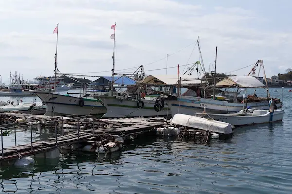 Fishing boats